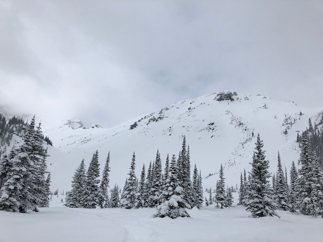A snowy mountain with trees in the foreground.