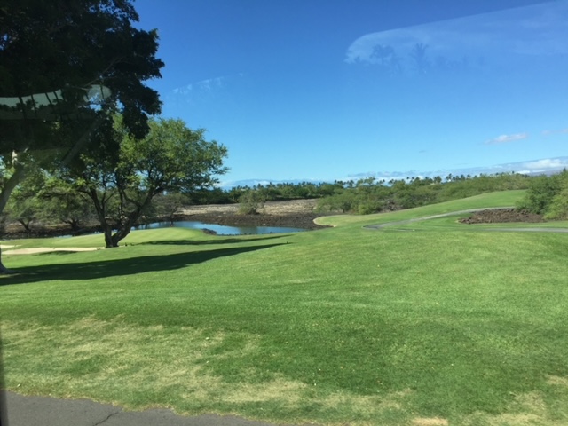 A view of the golf course from across the street.