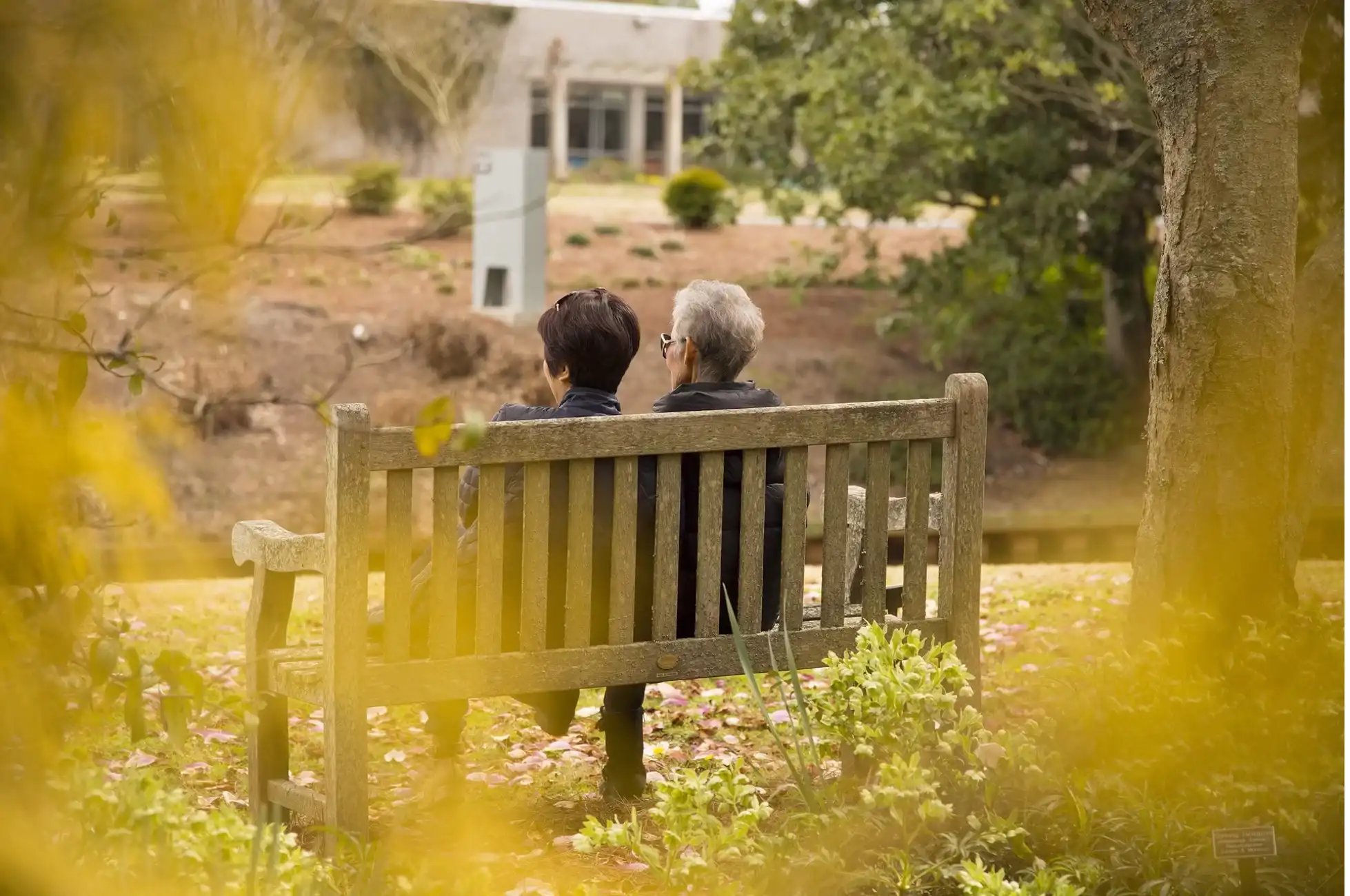 An elder couple sitting on a wooden bench with a tree on the side